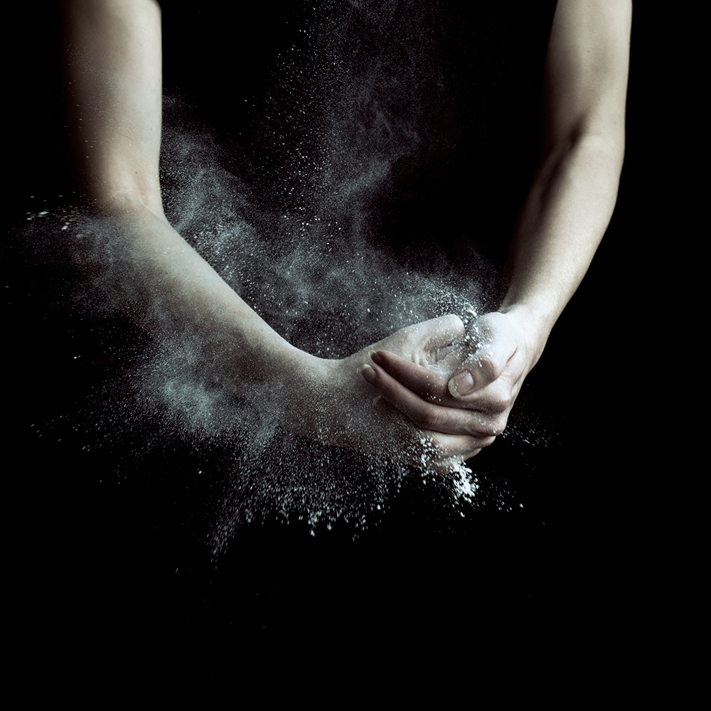 bsh passionsbook | iris fuchs